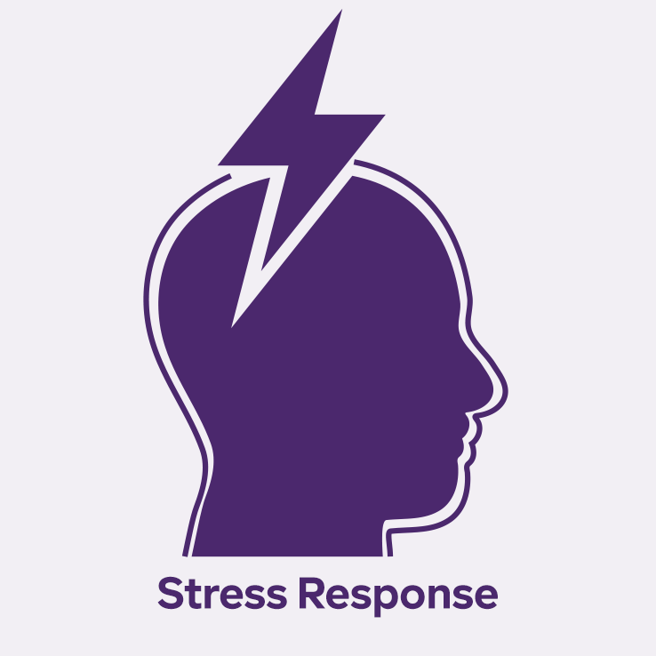 stress response